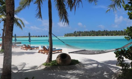 Urlaub trotz Omikron: „Fernreisen werden jetzt fünf Tage vor Abflug gebucht“