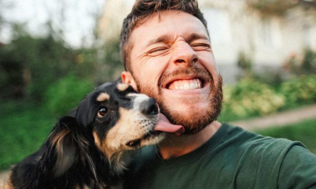 Die Rolle von Hund, Katze und Co beim Online-Dating