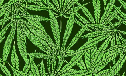 Wie eine verantwortungsvolle Legalisierung von Cannabis aussehen könnte