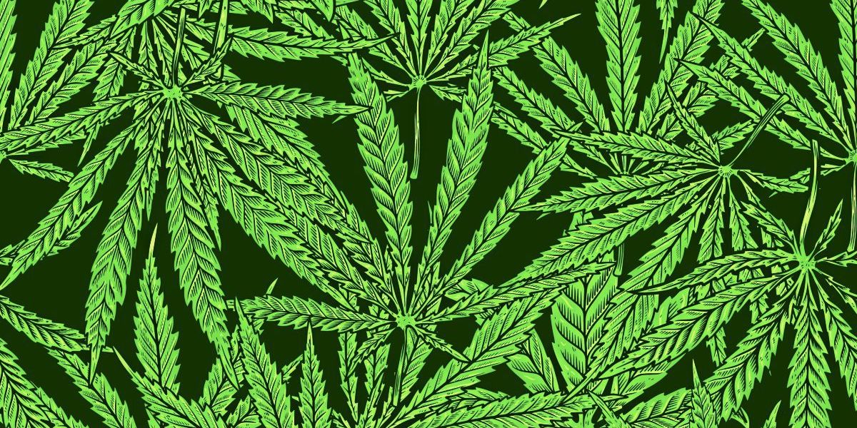 Wie eine verantwortungsvolle Legalisierung von Cannabis aussehen könnte