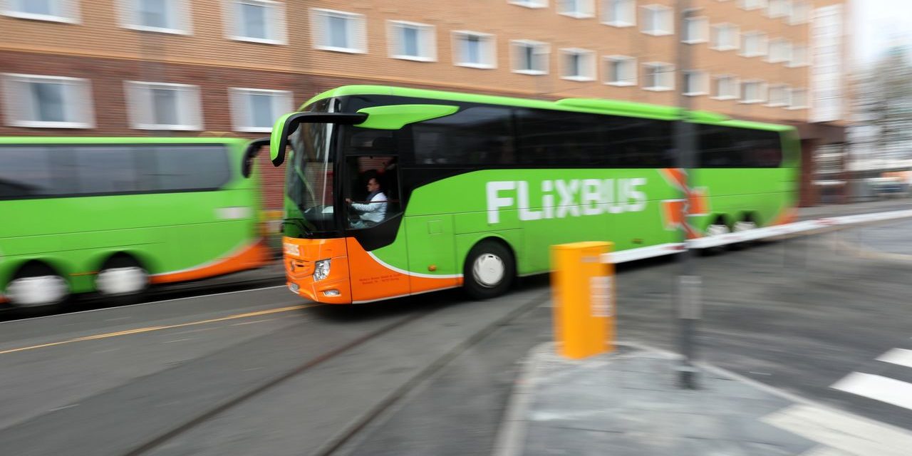 Junge Unternehmer zieht es nach Brasilien