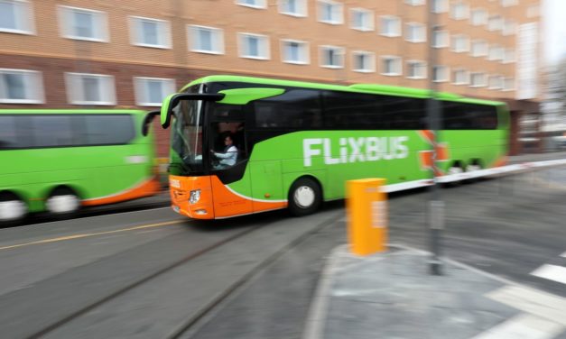 Junge Unternehmer zieht es nach Brasilien