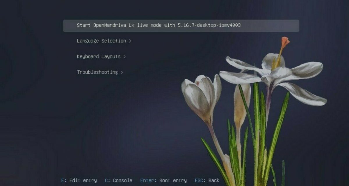 Linux-Distributionen: OpenMandriva 4.3 renoviert Desktop-Linux