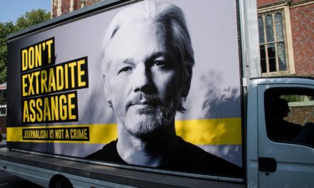 Julian Assange: DAO sammelt über 38 Millionen USD ein