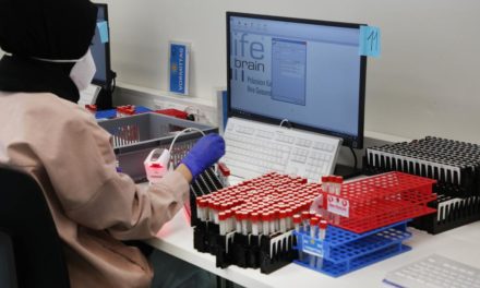 Was Lifebrain nach den Alles-Gurgelt-Tests machen wird