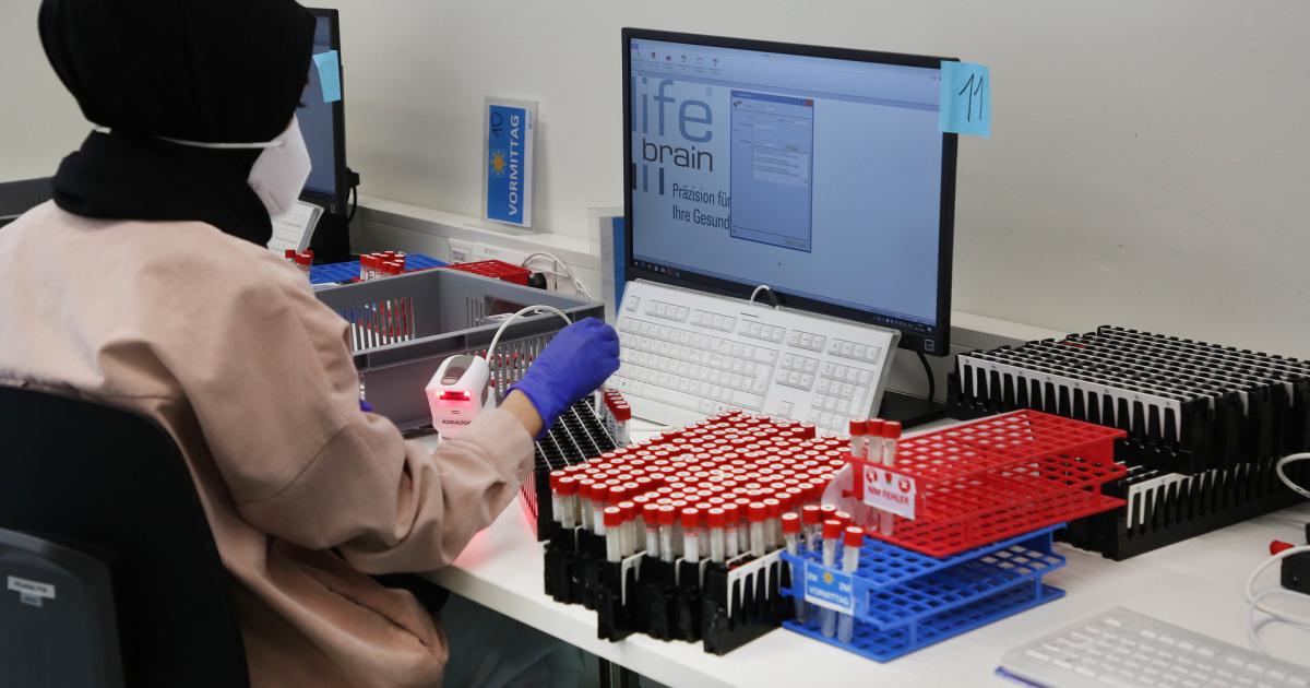 Was Lifebrain nach den Alles-Gurgelt-Tests machen wird