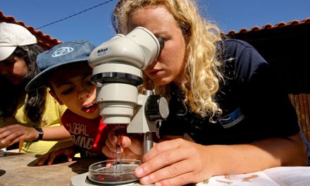 Erfolgreiche Wissenschaftsvermittlung in Portugal – und ihre sichtbaren Folgen