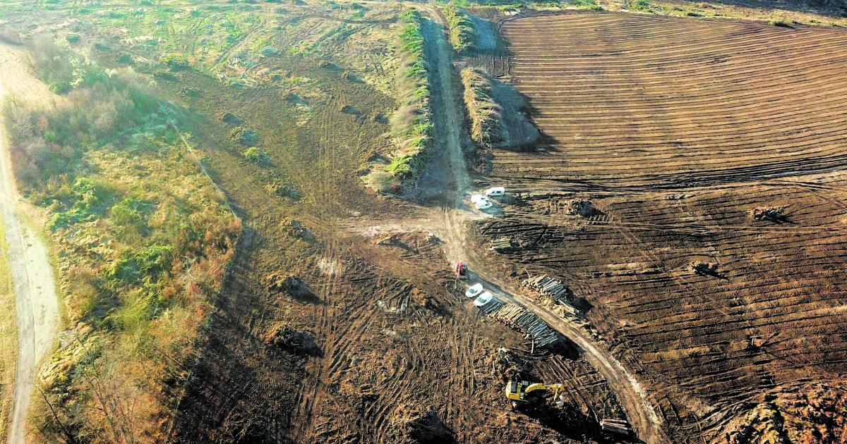 Rewe soll gerodeten Standort in Ohlsdorf übernehmen