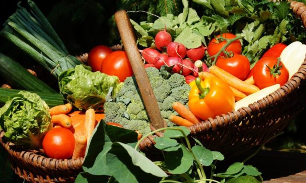 US-Studie: Mehr als ein Jahrzehnt älter durch Ernährungswandel