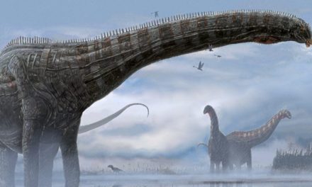 Erstmals Hinweise auf Atemwegsinfektion bei Dinosaurier entdeckt