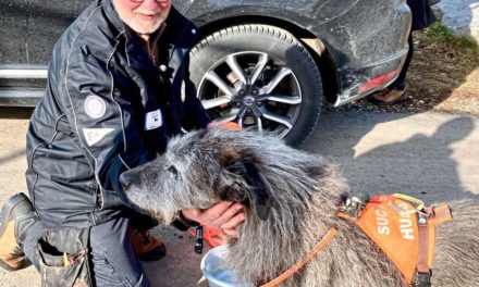 Knochenspürhund sucht Opfer eines Grazer Zwangsarbeiterlagers