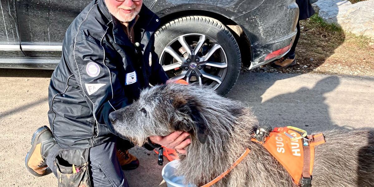 Knochenspürhund sucht Opfer eines Grazer Zwangsarbeiterlagers