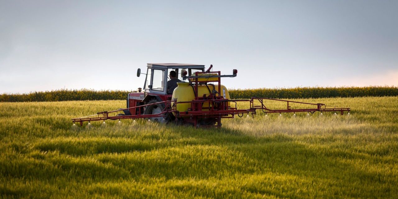 Bayer: Produktionsengpässe bei Unkrautvernichter Glyphosat