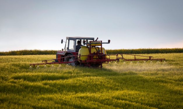 Bayer: Produktionsengpässe bei Unkrautvernichter Glyphosat