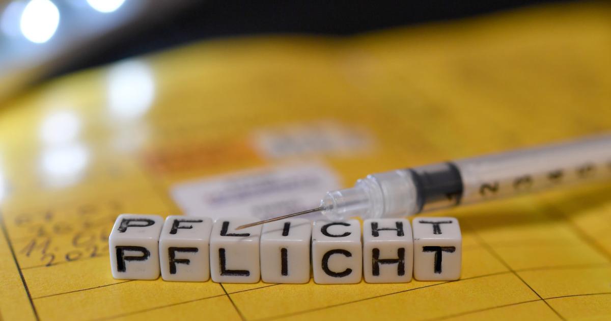 Impfpflicht, Tests, Lockerungen: Was vier Experten dazu sagen