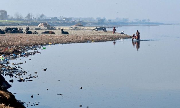 Rückstände von Medikamenten belasten Flüsse weltweit