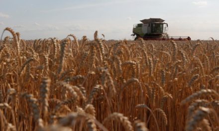 So geht es der Ukraine wirtschaftlich