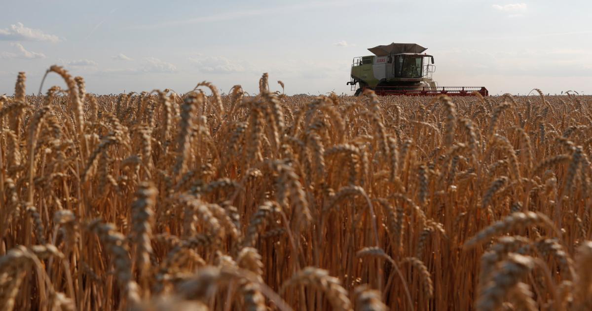 So geht es der Ukraine wirtschaftlich