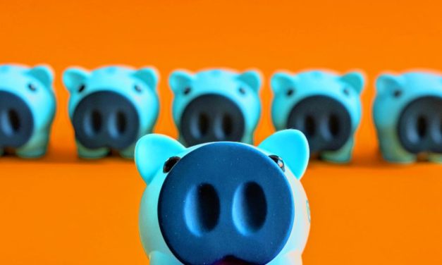 TechStage Deals-Check: Honor 50, Gaming-Monitor und Laptop im Preissturz