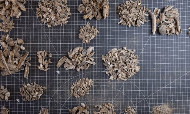 Prähistorische Leichenverbrennung: Asche zu Asche, Staub zu Staub?