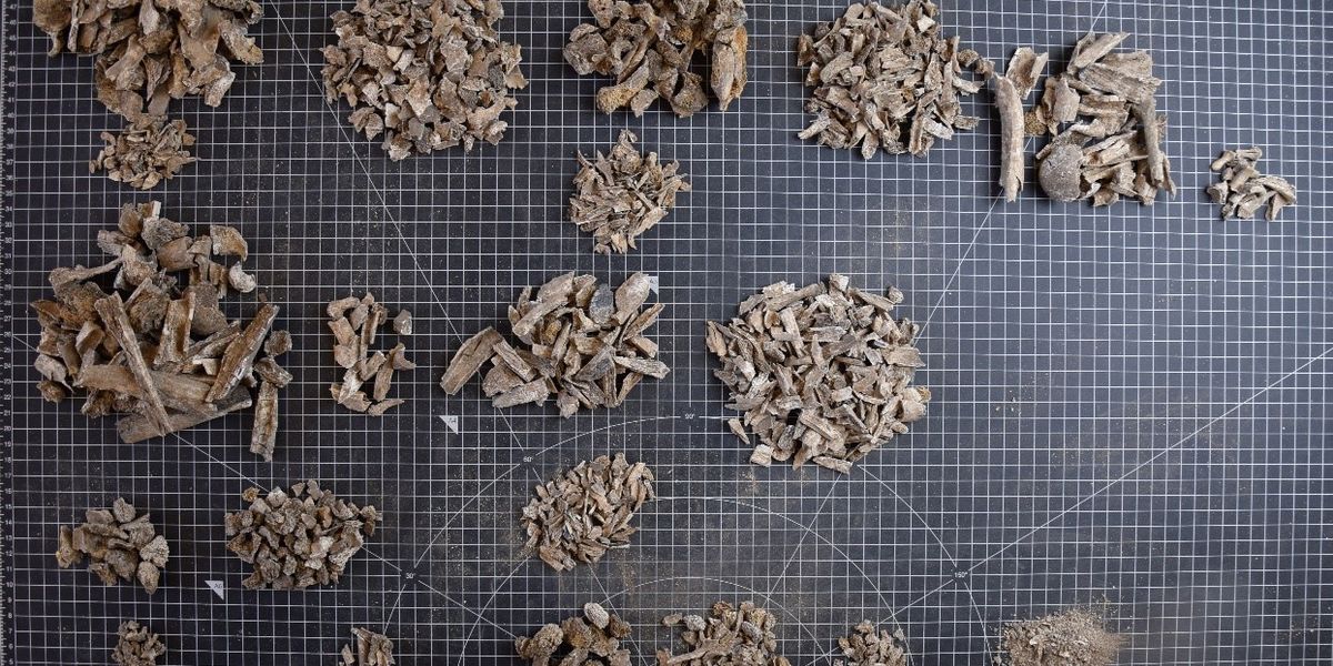 Prähistorische Leichenverbrennung: Asche zu Asche, Staub zu Staub?