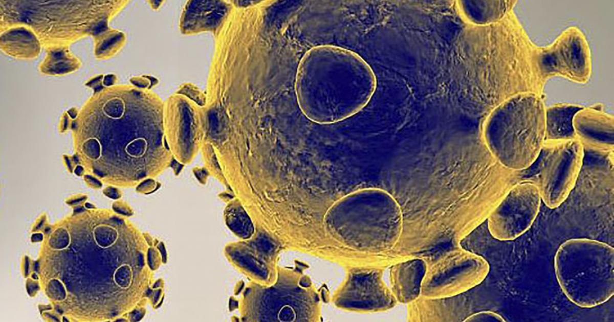 BA.2 gefährlicher als BA.1: Wissenschaftler fordern griechischen Buchstaben