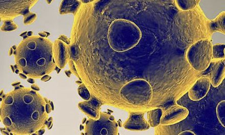 Omikron Subtyp BA.2 gefährlicher: Wissenschaftler fordern griechischen Buchstaben