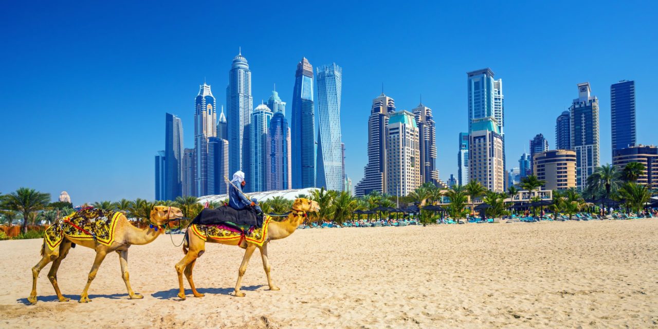 Im Krypto-Fieber: Vereinigte Arabische Emirate mit neuer Regulierung