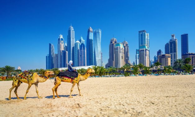 Im Krypto-Fieber: Vereinigte Arabische Emirate mit neuer Regulierung