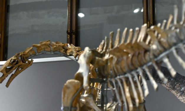 Erinnern Sie sich noch? Große Firmen-Namen, die ausgestorben sind