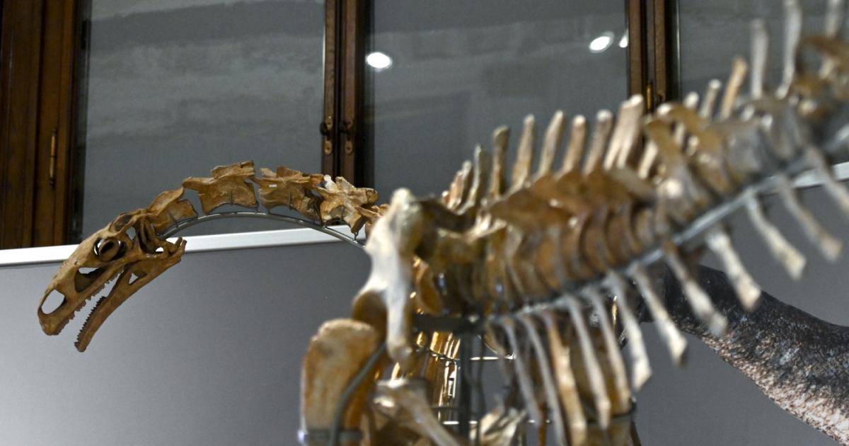 Erinnern Sie sich noch? Große Firmen-Namen, die ausgestorben sind
