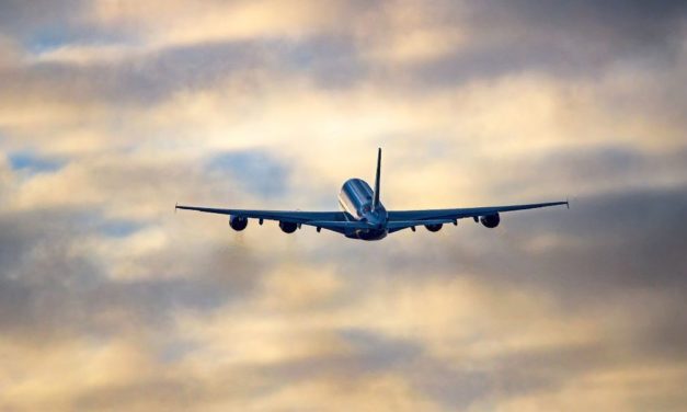 Nachhaltige Flugtreibstoffe: Kerosin aus altem Frittierfett