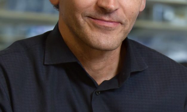 Molekularbiologe Martin Hetzer wird neuer IST-Präsident