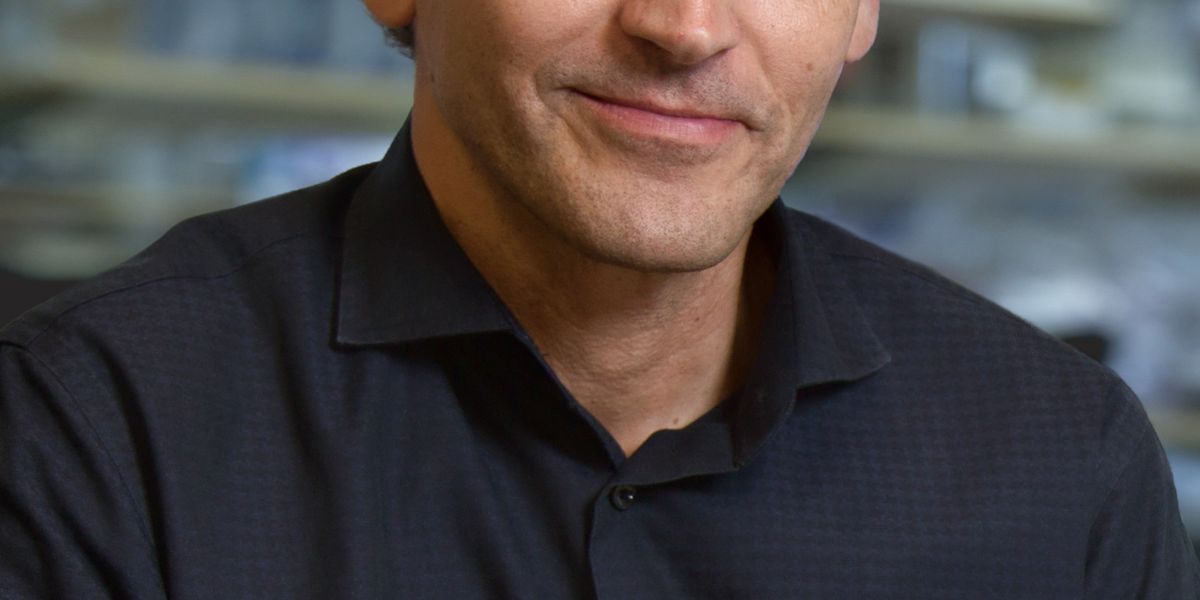 Molekularbiologe Martin Hetzer wird neuer IST-Präsident