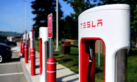 Tesla akzeptiert Dogecoin (DOGE) an E-Auto-Ladesäulen