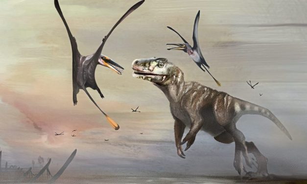 Schottisches Fossil eines bemerkenswerten Flugsauriers enthüllt