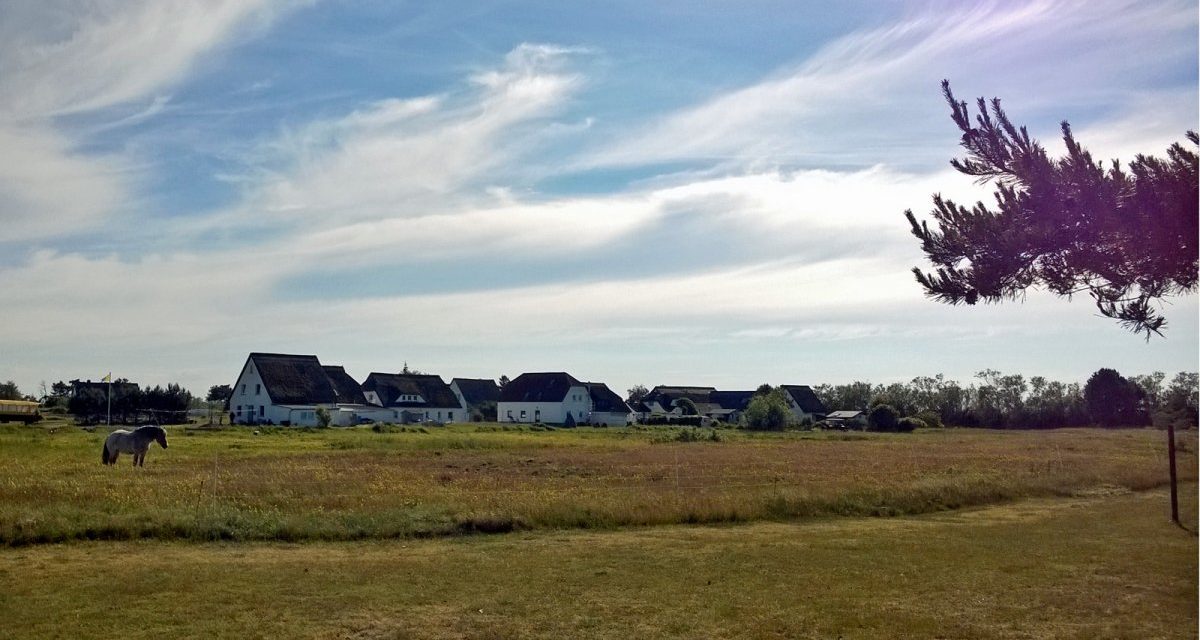 Seekabel durchtrennt: Telekommunikation auf Hiddensee ausgefallen