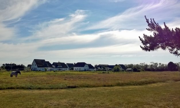 Seekabel durchtrennt: Telekommunikation auf Hiddensee ausgefallen