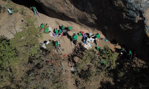 Der größte Stammbaum der Menschheitsgeschichte