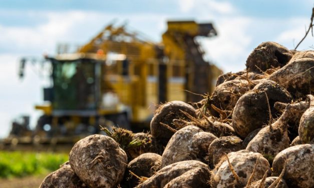Ukraine: Heimische Bauern besorgt wegen wirtschaftlichen Folgen