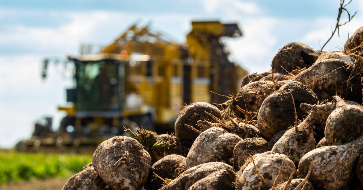Ukraine: Heimische Bauern besorgt wegen wirtschaftlichen Folgen