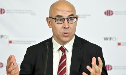 Wifo-Chef: Geldsanktionen treffen Moskau, RBI braucht Schutz