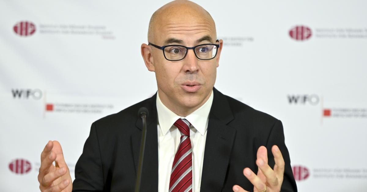 Wifo-Chef: Geldsanktionen treffen Moskau, RBI braucht Schutz