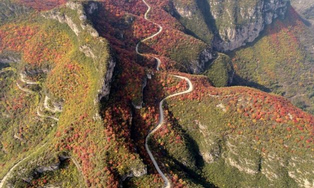 Innovative Steinzeitkultur in Nordchina entdeckt