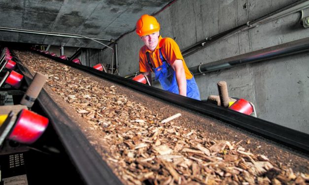 Forscher warnen vor teuren Subventionen für Bioenergie mit CO2-Abscheidung