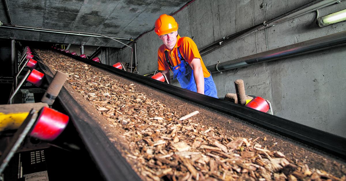 Forscher warnen vor teuren Subventionen für Bioenergie mit CO2-Abscheidung