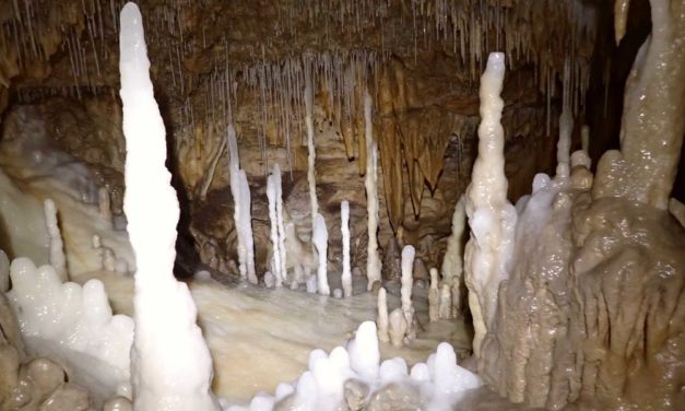 Französische „Einhornhöhle“ gibt bronzezeitliche Gräber preis