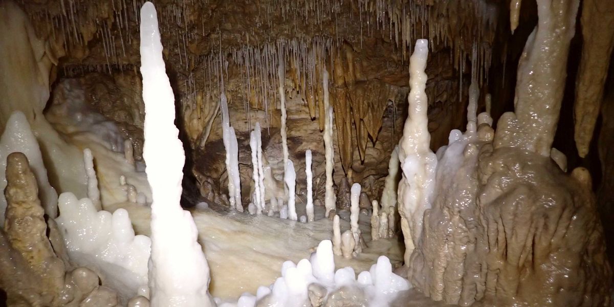 Französische „Einhornhöhle“ gibt bronzezeitliche Gräber preis
