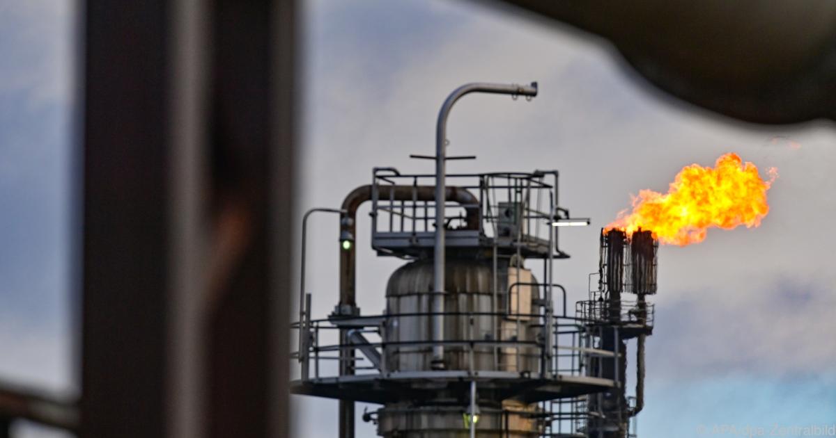Börse aktuell: Gaspreis bei 350 Euro, Ölpreis auf höchstem Stand seit 2008