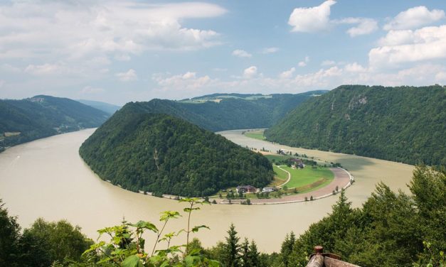 Neues CD-Labor will Donau als stabiles Ökosystem erhalten